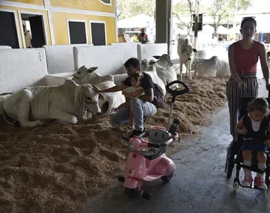 A feira segue até 8 de dezembro no Parque de Exposições