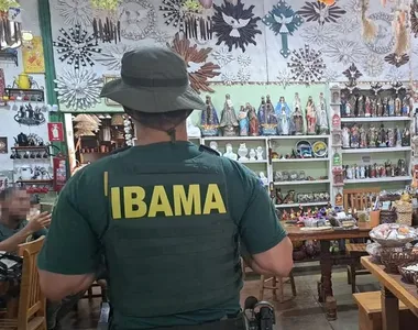 Operação do IBAMA tem prisão por porte ilegal de armas e tráfico de animais