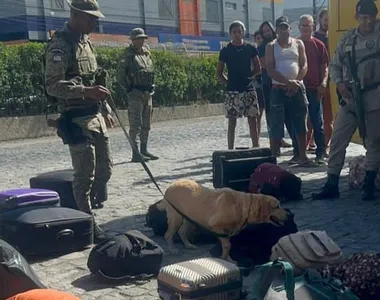 Cães farejadores indicaram as malas para os policiais