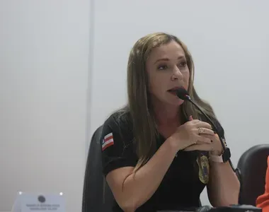 Heloísa Brito explicou como irá funcionar o assistente virtual