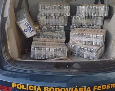 Cocaína estava escondida em um compartimento falso do caminhão