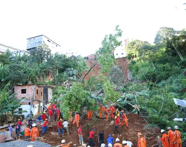 Buscas dos bombeiros em Saramandaia