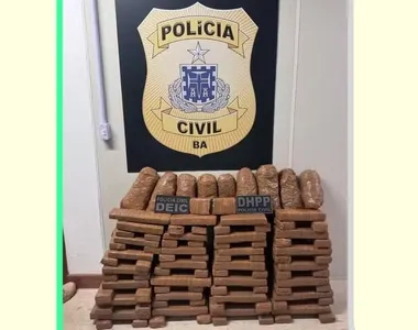 Mais de 130 kg de maconha foram apreendidos pela Polícia Civil