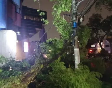 O temporal que atingiu a Grande São Paulo, na noite desta sexta (11)