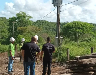 Ligações clandestinas foram flagradas em fazendas produtoras de mamão e café