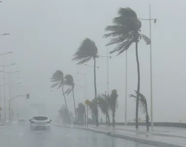 Previsão é de chuvas de até 100 milímetros e ventos de até 100km/h