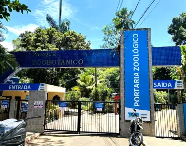 Entrada no Zoo é gratuita e está aberta de terça a domingo, das 09h às 17h, incluindo feriados