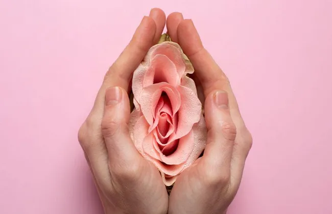 Imagem ilustrativa da imagem Mulheres recorrem cada vez mais à cirurgia para corrigir a vulva