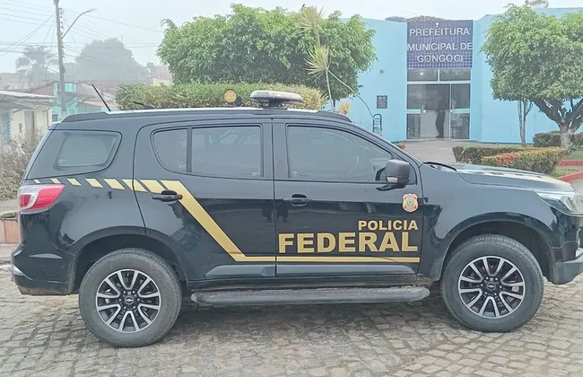 Imagem ilustrativa da imagem 