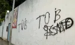 Imagem ilustrativa da imagem 