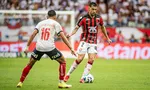 Imagem ilustrativa da imagem 