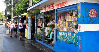 Imagem ilustrativa da imagem Comércio vibrante, comida afro-baiana e a arte transformam Pernambués