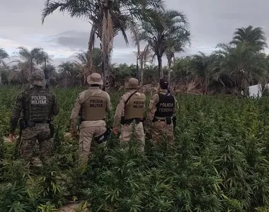 Fazenda ficava no município de Umburanas, no interior da Bahia