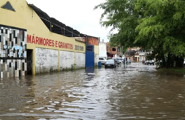 Imagem ilustrativa da imagem 