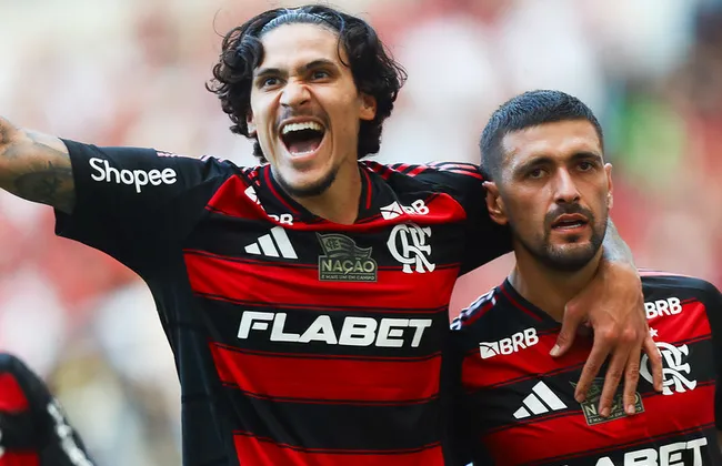 Imagem ilustrativa da imagem 