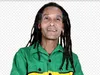 Imagem ilustrativa da imagem 