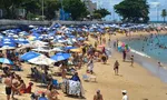 Imagem ilustrativa da imagem 