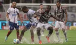 Imagem ilustrativa da imagem 