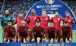Imagem ilustrativa da imagem 