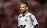 Imagem ilustrativa da imagem 