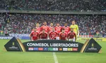 Imagem ilustrativa da imagem 