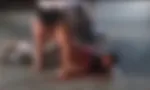 Imagem ilustrativa da imagem 