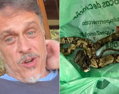 Guilherme diz ser normal encontrar animais em seu quintal