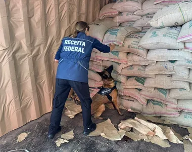 Droga foi encontrada por cães farejadores
