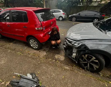 Mandy Lia posou para foto após bater o carro