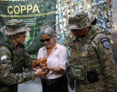 População pode tocar em espécie exótica