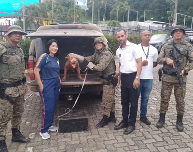 Resgate foi realizado por agentes da COPPA