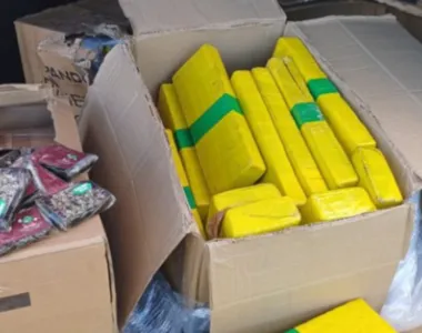 Maconha e haxixe estavam em embalagens