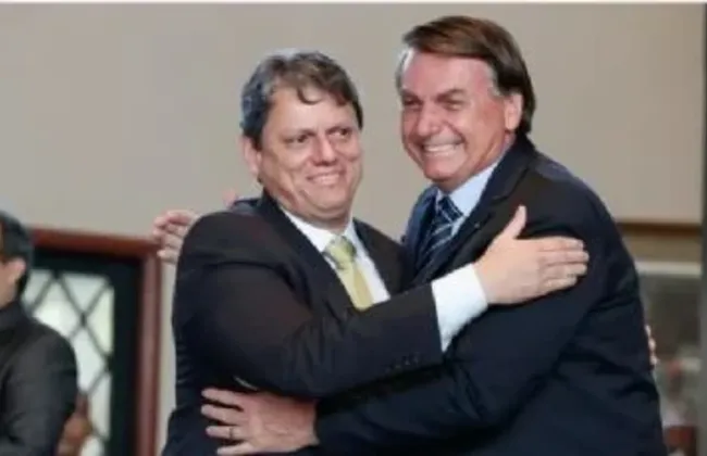 Imagem ilustrativa da imagem 