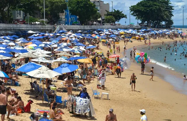 Imagem ilustrativa da imagem 