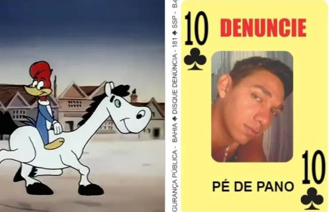 Imagem ilustrativa da imagem 