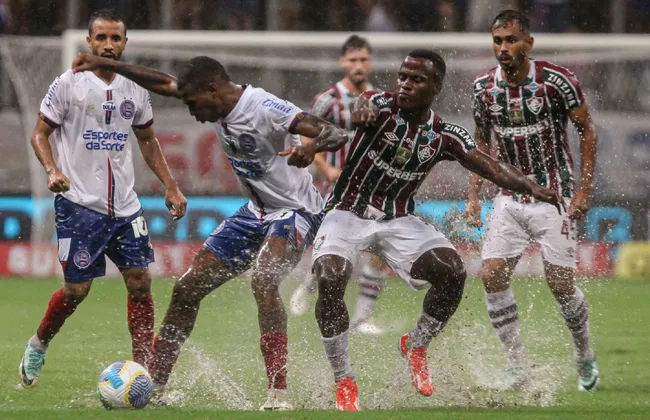Imagem ilustrativa da imagem 