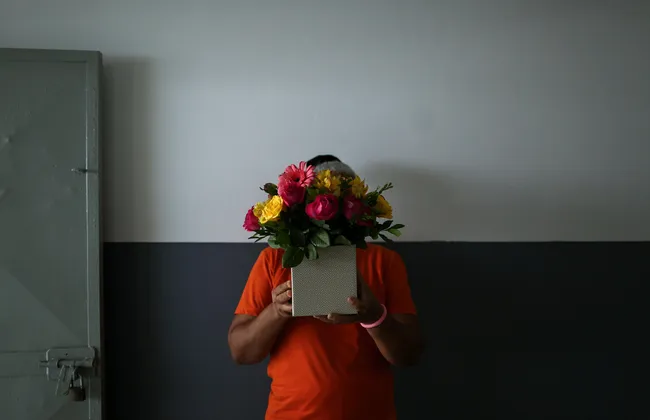 Imagem ilustrativa da imagem 