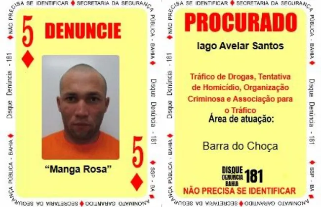 Imagem ilustrativa da imagem 