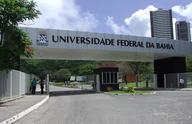 Imagem ilustrativa da imagem 