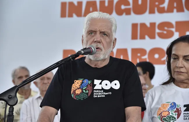 Imagem ilustrativa da imagem 