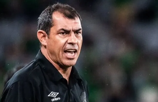 Imagem ilustrativa da imagem 