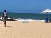 Imagem ilustrativa da imagem 
