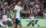 Imagem ilustrativa da imagem 