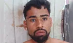 Imagem ilustrativa da imagem 