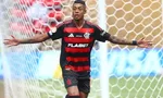 Imagem ilustrativa da imagem 