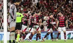 Imagem ilustrativa da imagem 