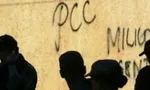 Imagem ilustrativa da imagem 