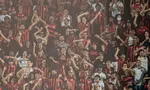 Imagem ilustrativa da imagem 
