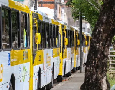 Linhas de ônibus da capital baiana