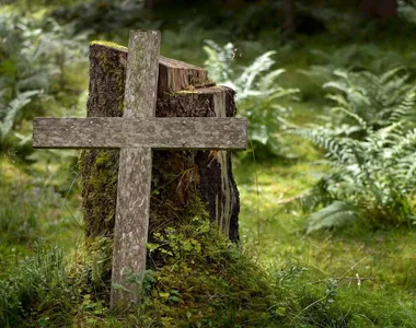 Ossadas foram encontradas em uma área de mata em Sussuarana